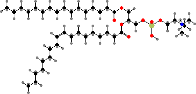 1-Palmitoyl-2-oleoyl-sn-glycero-3-phosphocholine