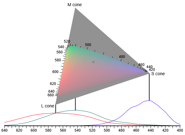 Human colour space